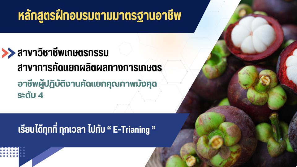 สาขาวิชาชีพเกษตรกรรม สาขาการคัดแยกผลิตผลทางการเกษตร อาชีพผู้ปฏิบัติงานคัดแยกคุณภาพมังคุด ระดับ 4